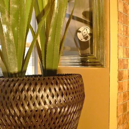 2 Room Suite City Centre