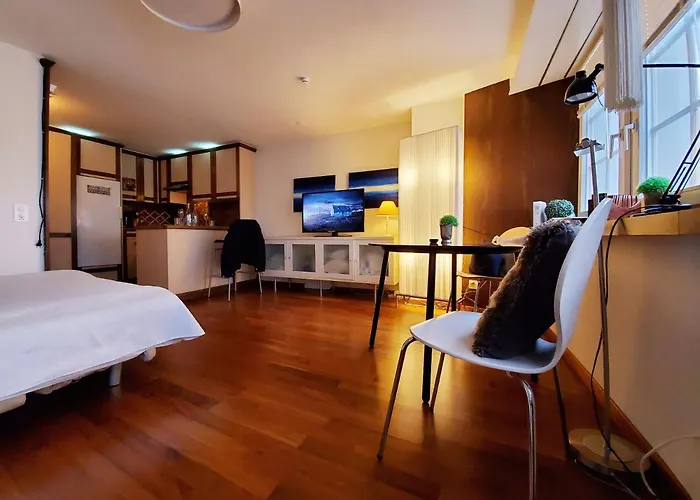 2 Room Suite City Centre * ציריך